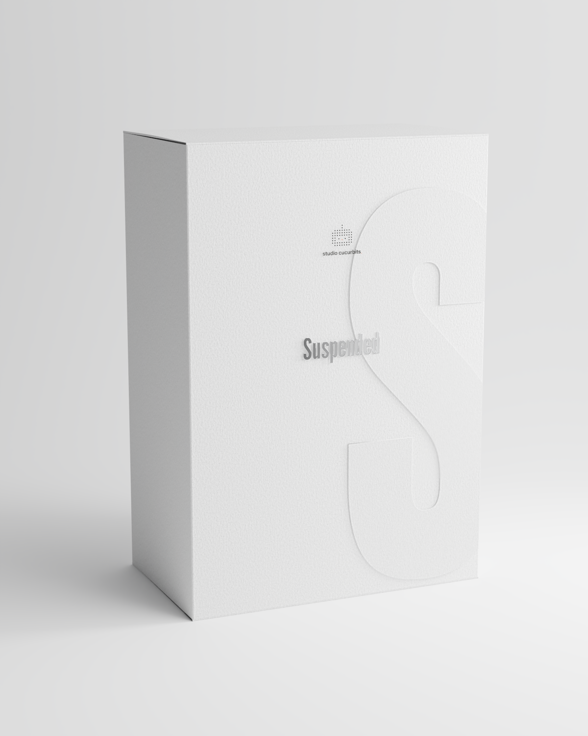 Suspended artwork