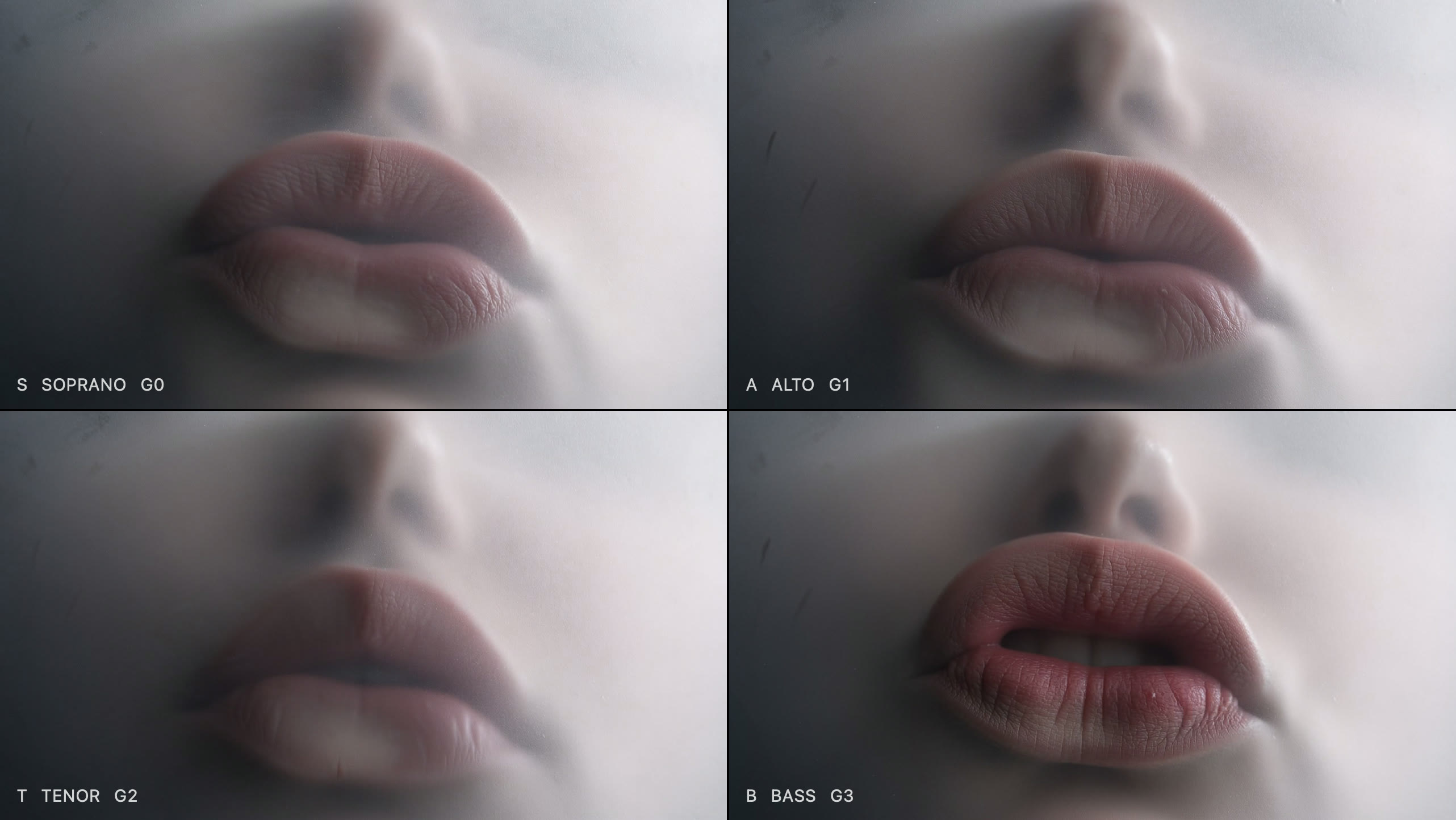 Babel / TRANS-INSTRUMENTALISM — sample image: four mouths behind a membrane, labelled Soprano, Alto, Tenor and Bass